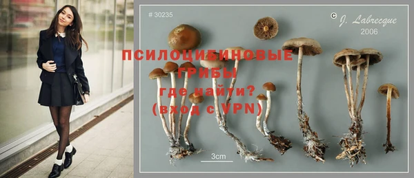 молекула духа Абинск