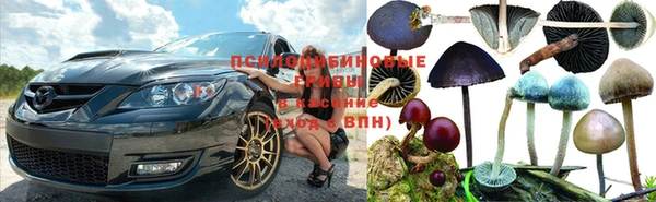 Альфа ПВП Абдулино