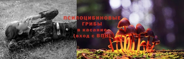 spice Абаза